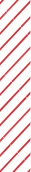 card icon stripe
