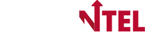 Fleet Intel Logo